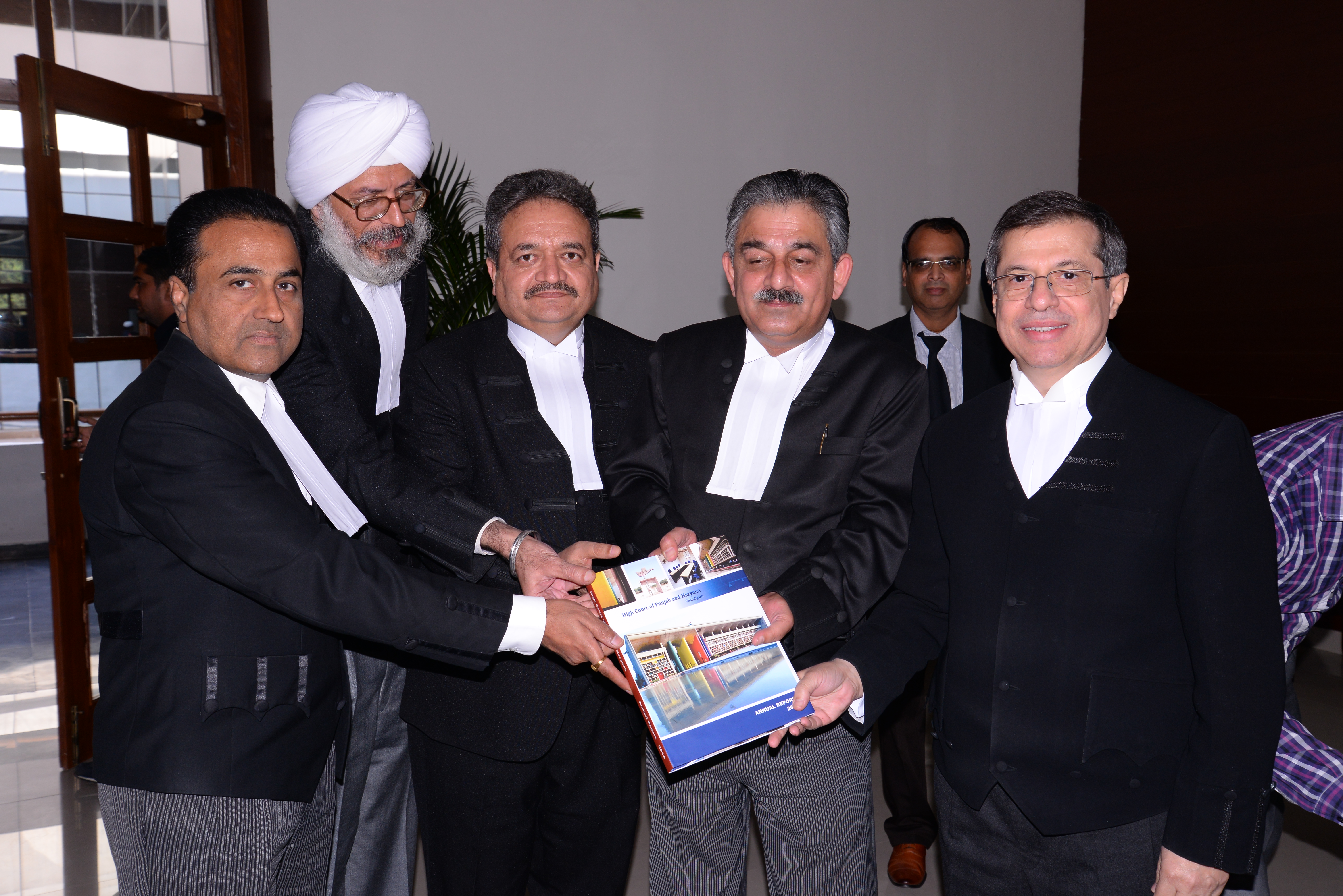 senior advocates in punjab and haryana high court