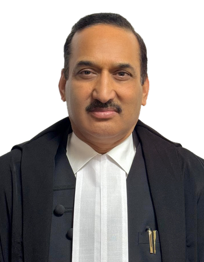 judge
