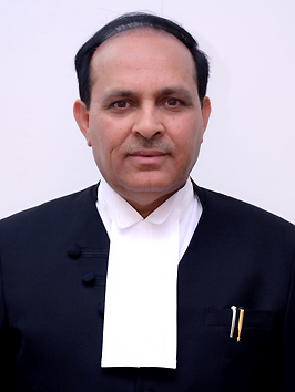 Hon'ble Chief Justice and Judges of the High Court of Punjab and Haryana